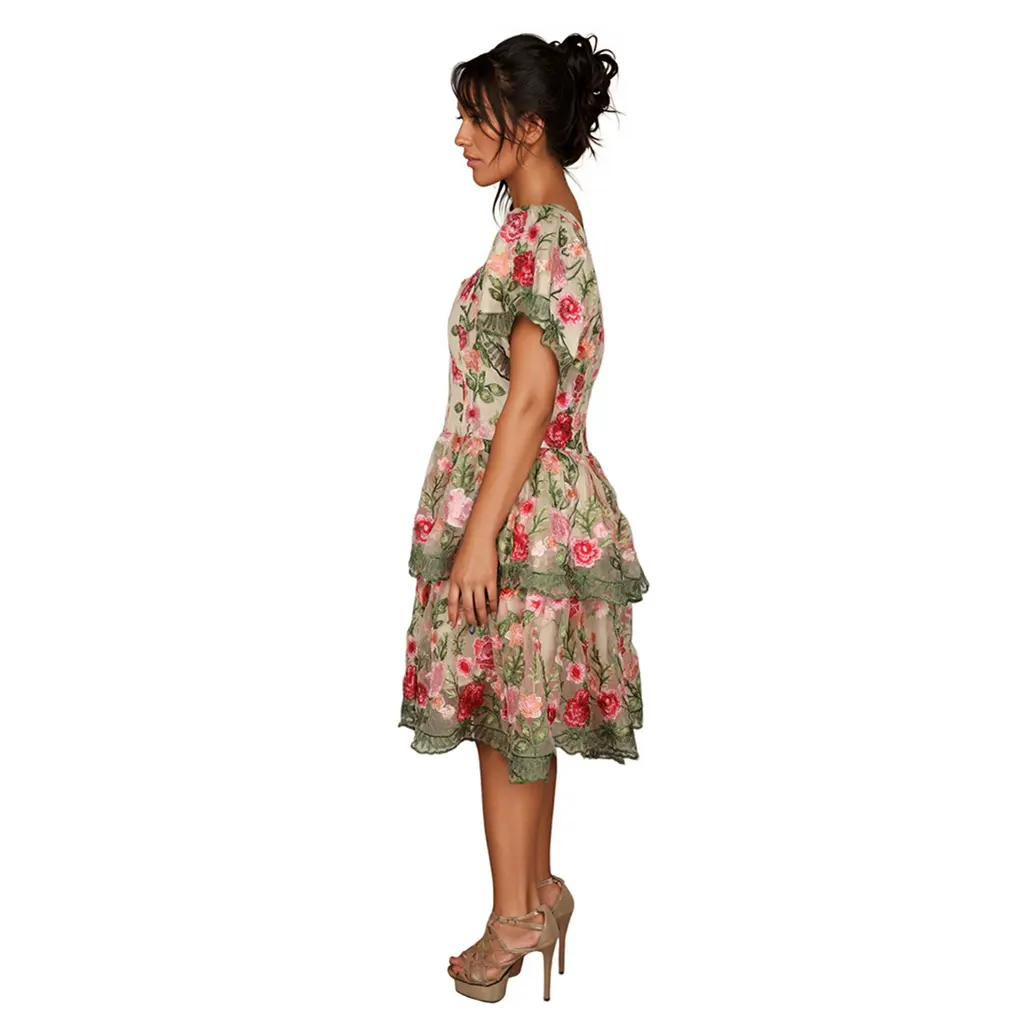 Print Sleeve Square Neck Open Back Lace Trim Tiered Ruffle Elegant Vintage Summer Garden Party Maxi Women Dress (3).jpg